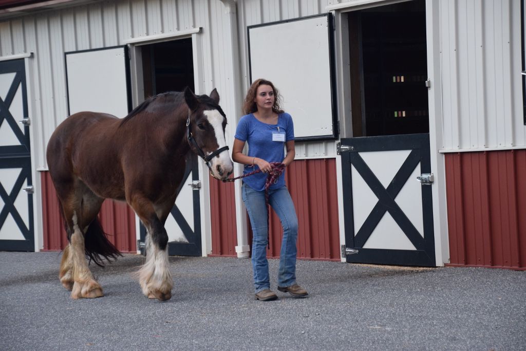 riddle center barn event 10-19 170 (1024x683).jpg